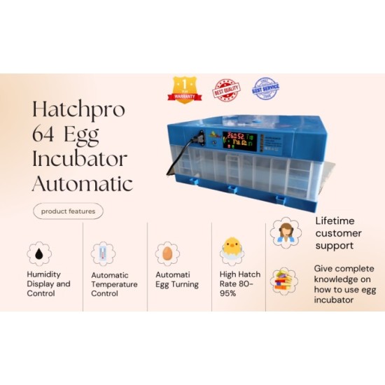 Hatchpro 64 egg incubator  with rolling type tray egg hatching machine India 